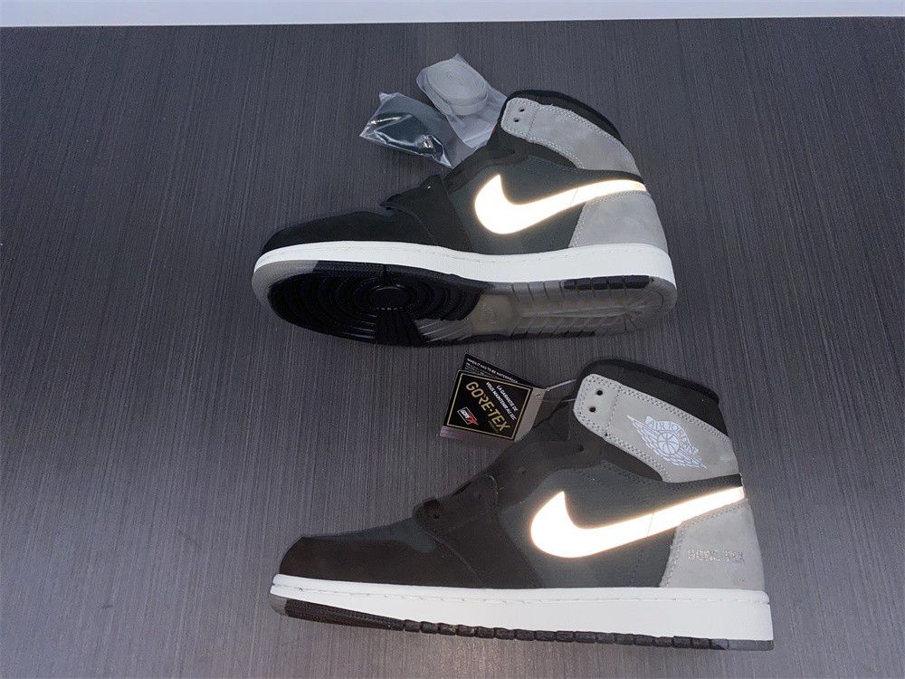 Air Jordan 1 Element Gore-Tex